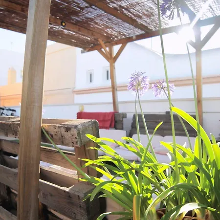 Hostel Backpackers